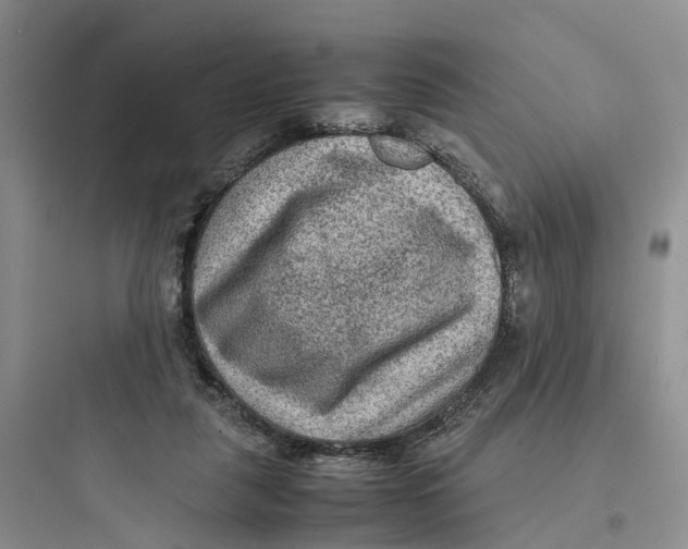 X0000097660259200803211926