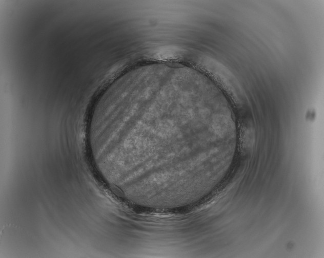 X0000097660260200803211926