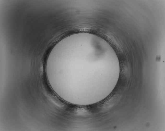 X0000097660262200803211926