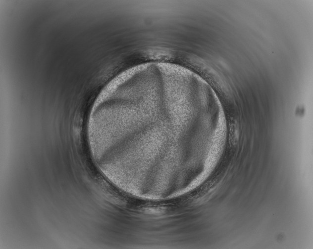 X0000097660263200803211926