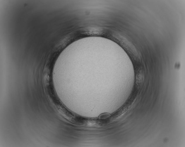 X0000097660264200803211926
