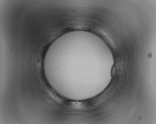 X0000097660265200803211926