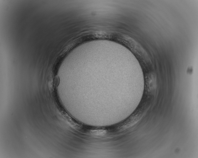 X0000097660266200803211926