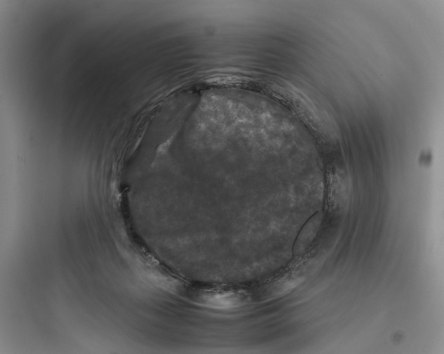 X0000097660267200803211926