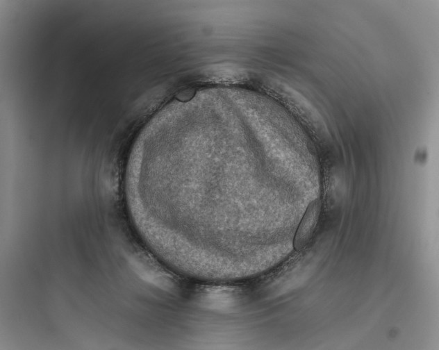 X0000097660268200803211926
