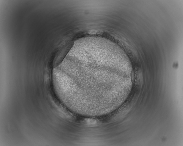 X0000097660272200803211926