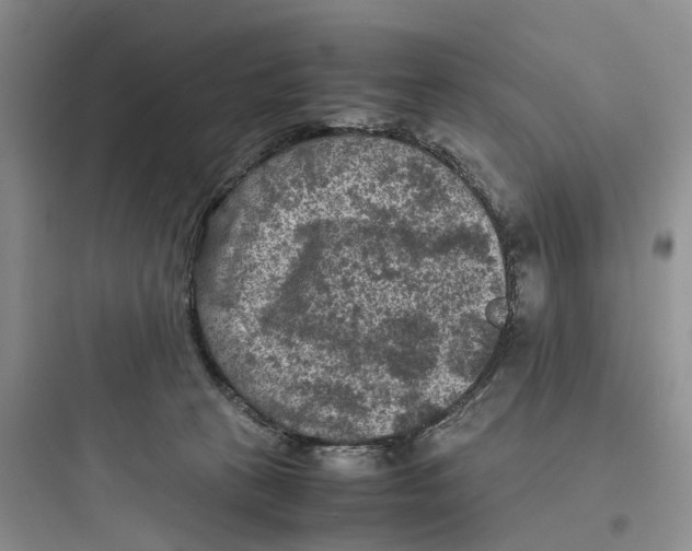 X0000097660273200803211926