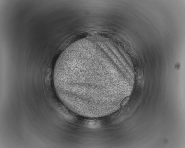 X0000097660275200803211926