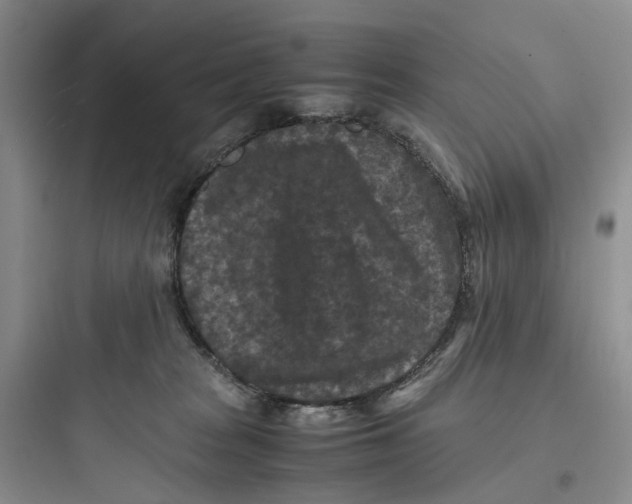 X0000097660277200803211926