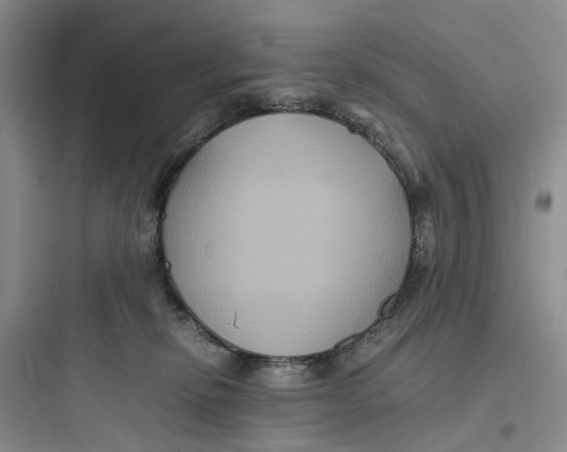 X0000097660278200803211926
