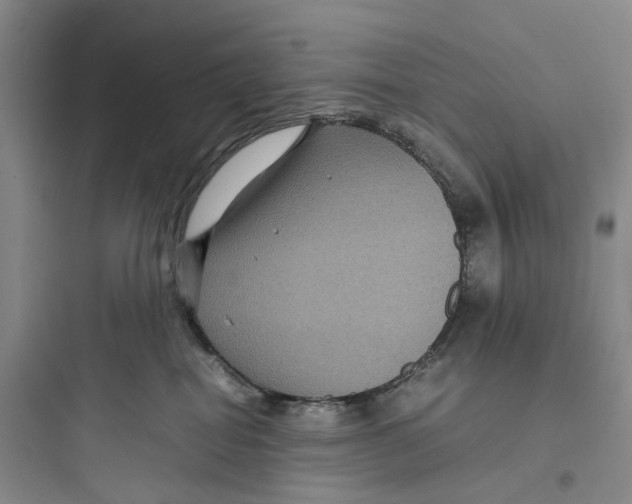 X0000097660282200803211926