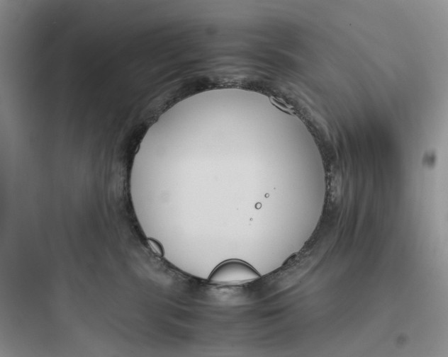 X0000097660283200803211926