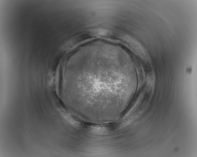 X0000097660284200803211926