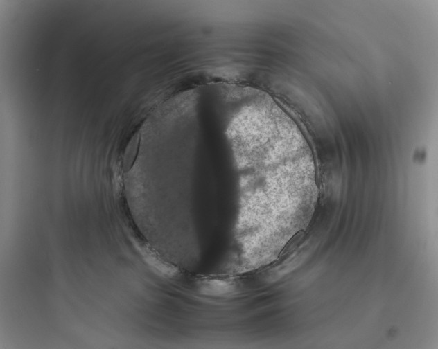 X0000097660285200803211926