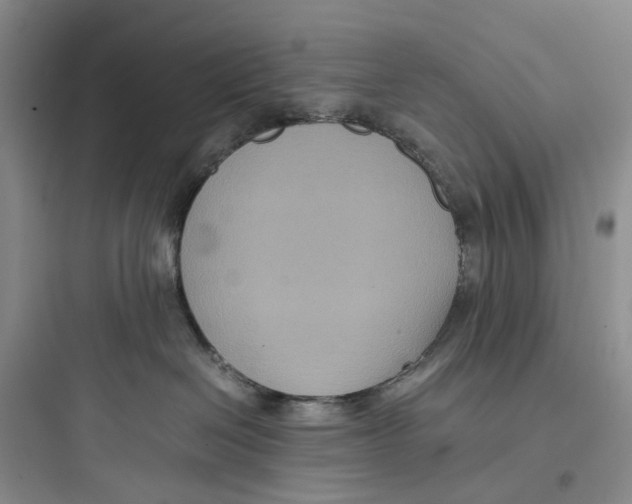 X0000097660286200803211926