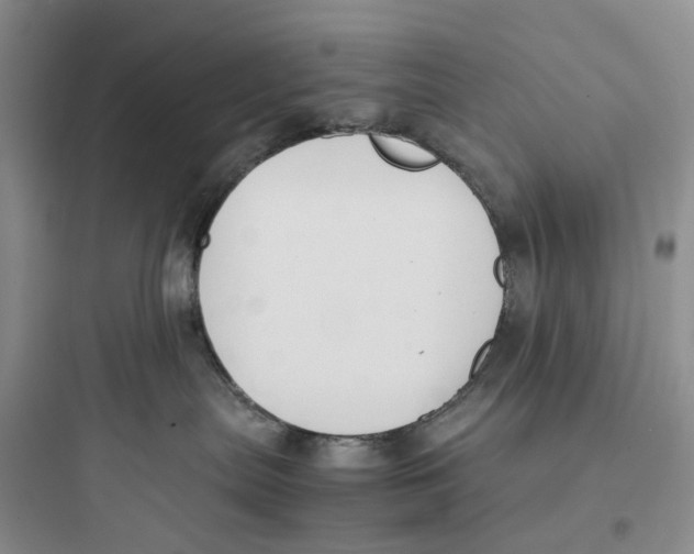 X0000097660287200803211926