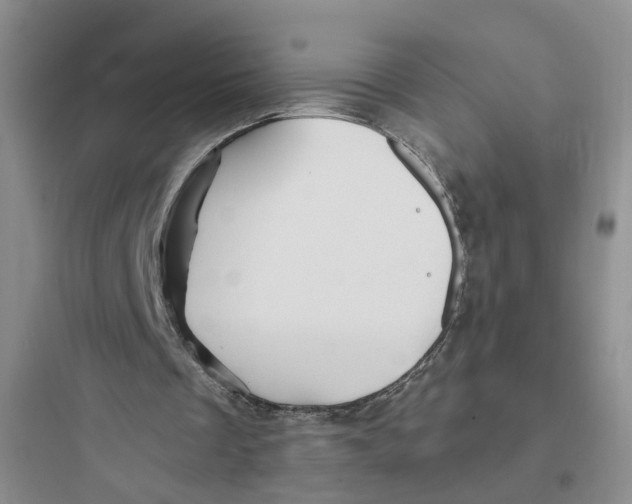 X0000097660289200803211925