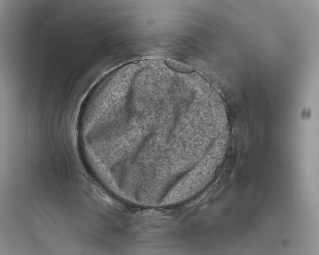 X0000097660290200803211925