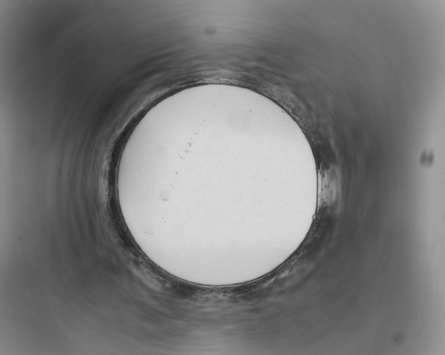X0000097660291200803211925