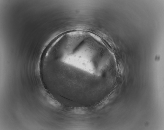 X0000097660292200803211925