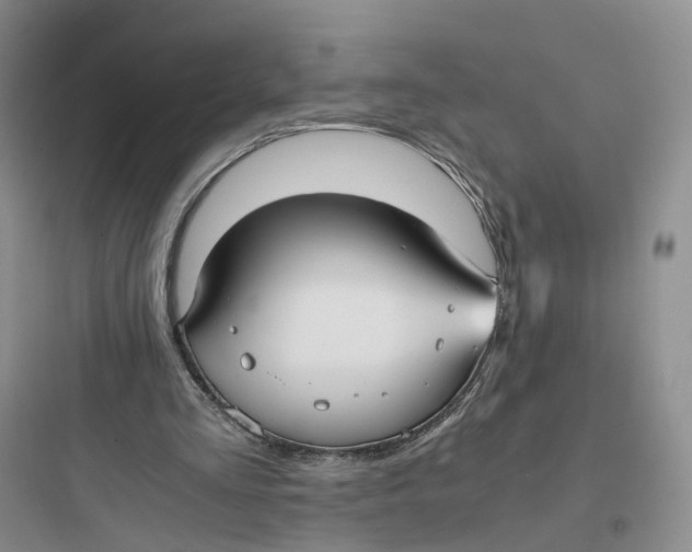 X0000097660293200803211925
