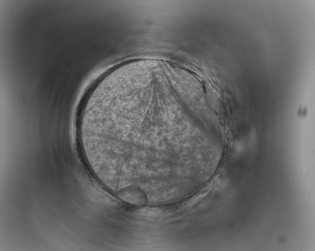 X0000097660294200803211925
