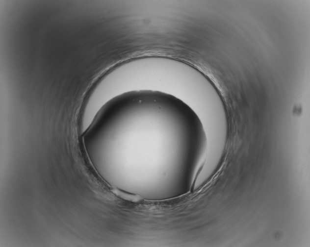 X0000097660297200803211925