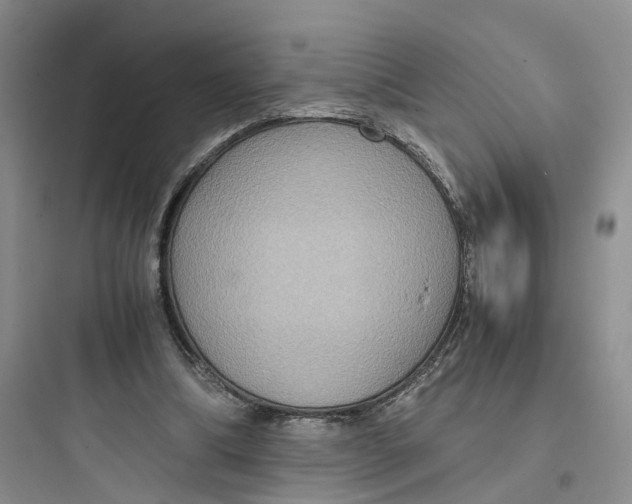 X0000097660298200803211925