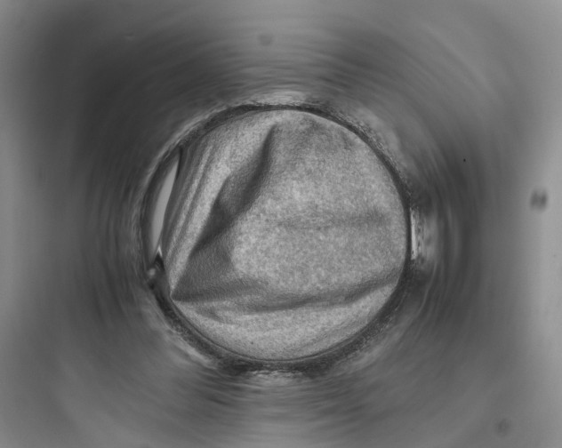 X0000097660300200803211925
