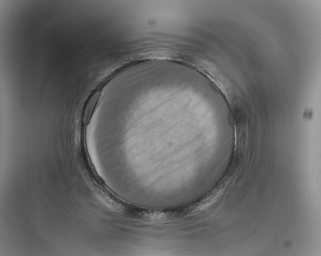 X0000097660301200803211925