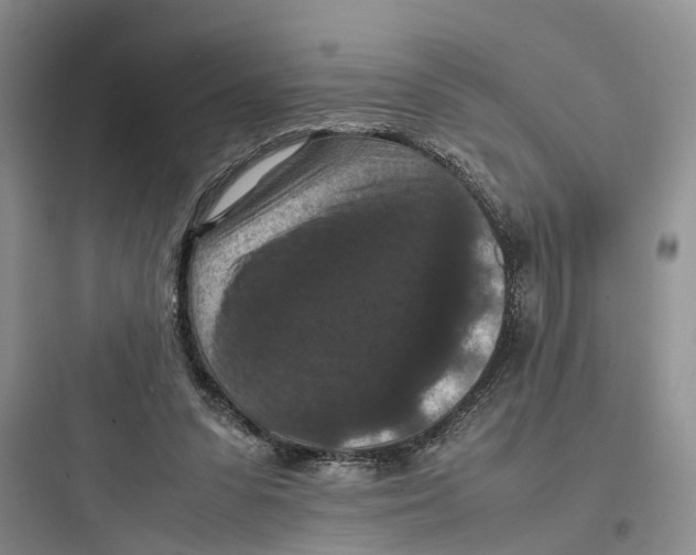 X0000097660303200803211925