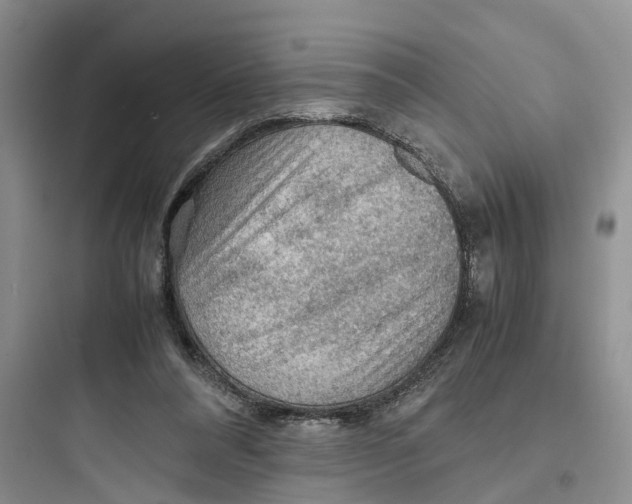 X0000097660304200803211925