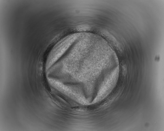 X0000097660308200803211925