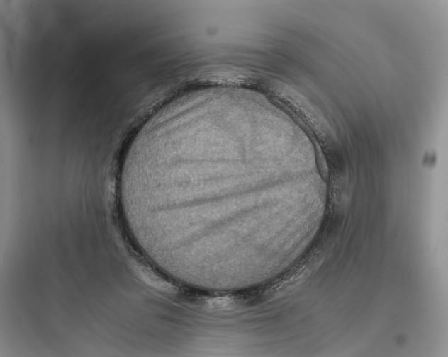 X0000097660309200803211925