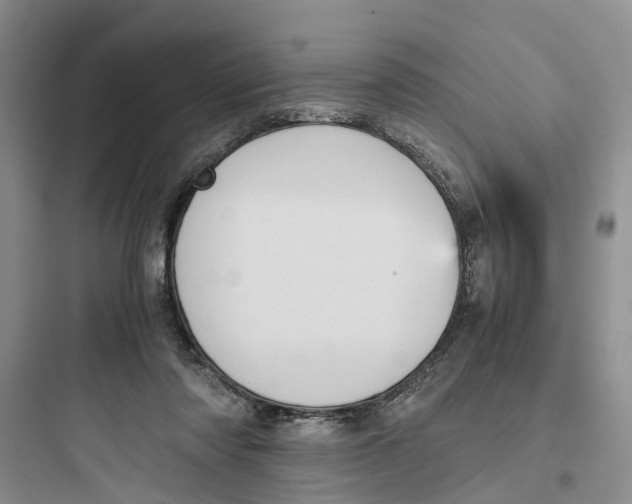 X0000097660310200803211925