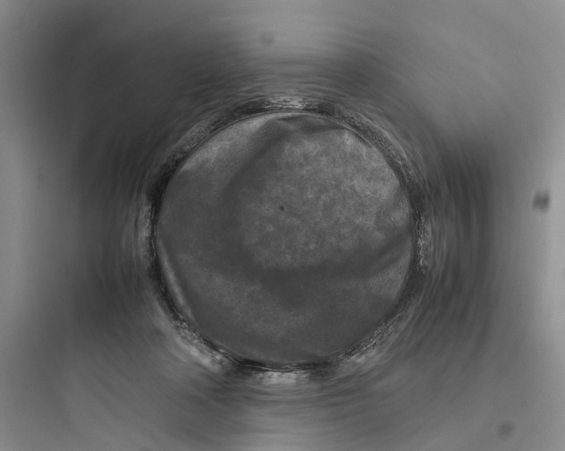 X0000097660314200803211925