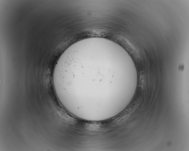 X0000097660318200803211925