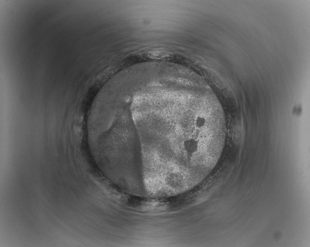 X0000097660319200803211925