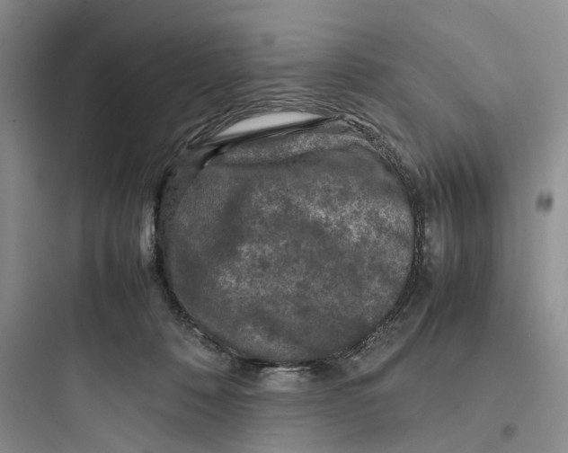 X0000097660320200803211925