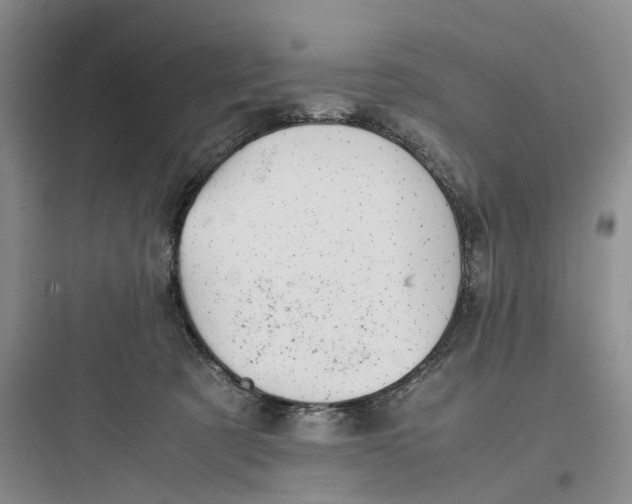 X0000097660321200803211925