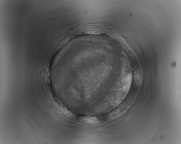 X0000097660322200803211925