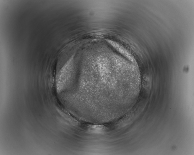 X0000097660324200803211925