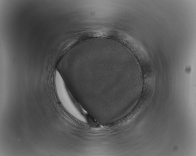 X0000097660325200803211925