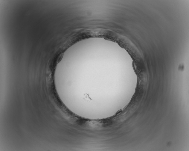 X0000097660327200803211925