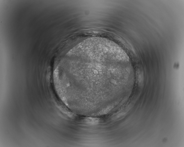 X0000097660328200803211925