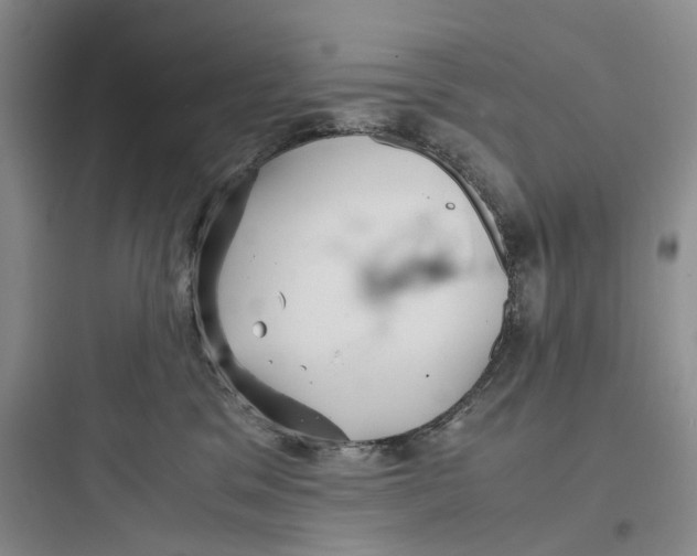 X0000097660329200803211925