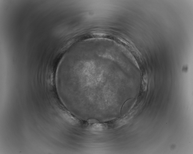 X0000097660330200803211925