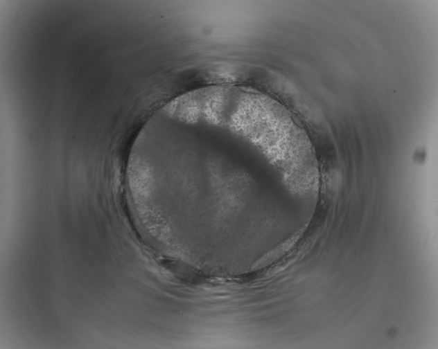 X0000097660331200803211925
