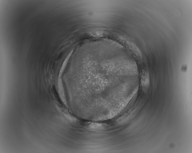 X0000097660332200803211925