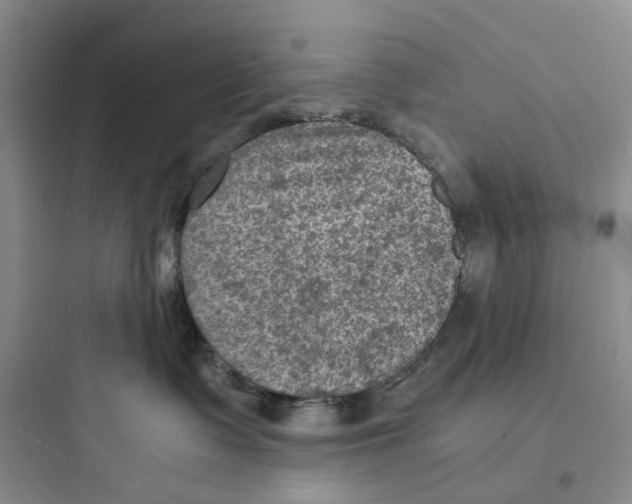 X0000097660335200803211925